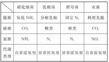 成都竹芯園林景觀設(shè)計(jì)有限公司，成都竹芯園林景觀設(shè)計(jì)有限公司專注于提供專業(yè)的園林景觀設(shè)計(jì)服務(wù)