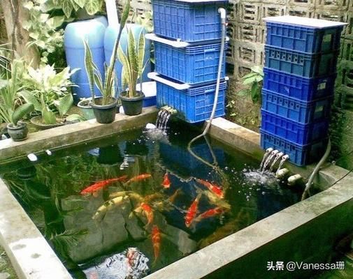 伊金霍洛旗怡情水族館，伊金霍洛旗怡情水族館，