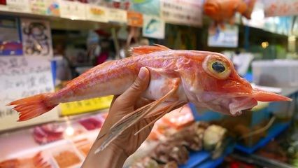 龍魚口感怎樣描述的，龍魚的口感可以用鮮美、嫩滑、韌性和韌性和清爽來描述