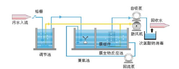 魟魚適宜水溫和調(diào)節(jié)技巧，魟魚適宜的水溫和調(diào)節(jié)技巧