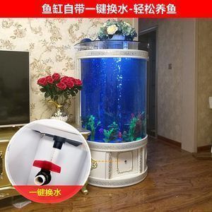 圓形魚缸養(yǎng)魚好不好，圓形魚缸養(yǎng)斗魚的注意事項