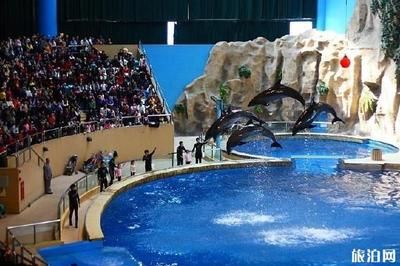 石家莊水族館，河北石家莊海洋公園開放時(shí)間：石家莊海洋公園開放時(shí)間