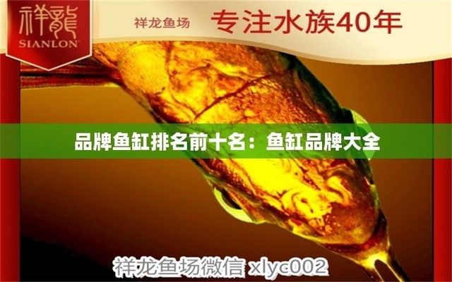 魚(yú)缸品牌前十名排名榜，2024年魚(yú)缸品牌前十名排名