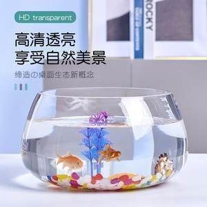 最好魚缸玻璃品牌，高端魚缸品牌性價比魚缸風水布局指南