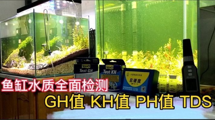 魚缸水草發(fā)黃爛葉怎么辦，如何正確給水草施肥