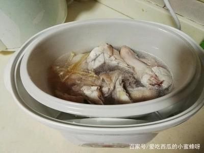 金龍魚膠做法 龍魚百科 第5張