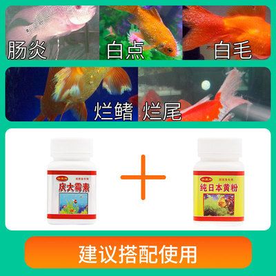 錦鯉水溫調(diào)節(jié)技巧，夏季錦鯉水溫驟變應(yīng)對策略不同水溫下錦鯉投喂指南 龍魚百科 第3張