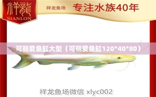 可麗愛魚缸型號系列大全圖片，可麗愛魚缸與其他品牌的比較可麗愛魚缸用戶評價匯總