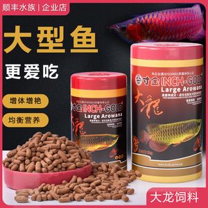 寸金龍魚飼料誘食性研究，寸金龍魚飼料用戶評價匯總寸金與海豚龍魚飼料對比