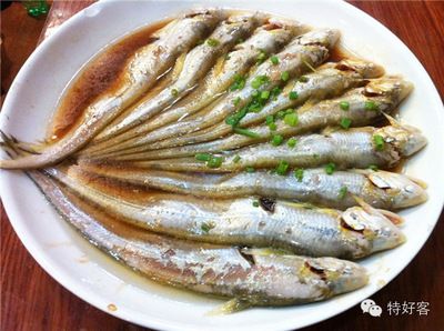 刀魚搭配什么食材更美味，刀魚餛飩餡料配方清蒸刀魚的烹飪技巧香辣刀魚的家常做法 觀賞魚市場（混養(yǎng)魚） 第2張