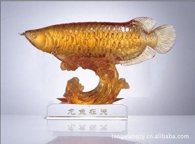 深圳龍魚批發(fā)，深圳龍魚批發(fā)市場 龍魚百科 第4張