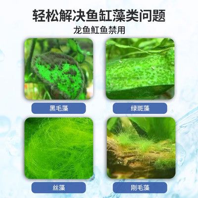 龍魚缸怎么除藻，龍魚缸的藻類問(wèn)題怎么辦 魚缸百科 第5張