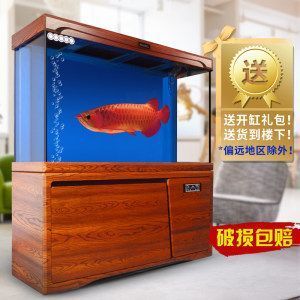 龍魚缸寬度35，小型龍魚缸尺寸對健康影響，小型龍魚適宜缸尺寸對健康影響 魚缸百科 第3張