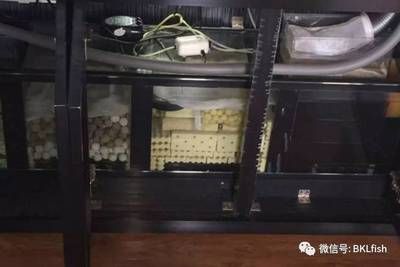 龍魚缸過濾材料用什么好，如何自制龍魚缸過濾器