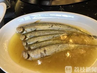 刀魚(yú)人工養(yǎng)殖飼料配方研究，刀魚(yú)人工養(yǎng)殖飼料配方 觀賞魚(yú)市場(chǎng)（混養(yǎng)魚(yú)） 第4張