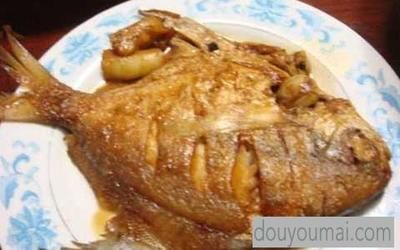 金老虎魚日常飲食搭配，金老虎魚最佳飼養(yǎng)水溫范圍，金老虎魚人工飼料品牌推薦 觀賞魚市場（混養(yǎng)魚） 第5張