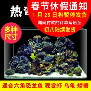 六角恐龍魚魚缸要多大的水，六角恐龍魚的魚缸尺寸至少為45×35×30厘米，六角恐龍魚水質(zhì)維護(hù)方法 魚缸百科 第5張