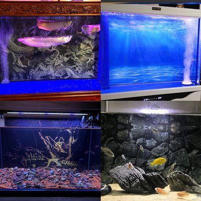 什么牌子龍魚缸性價(jià)比高又好用的水泵，eheim、fluval、tetra、sunsun和aquaclear 魚缸百科 第5張