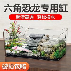 六角恐龍魚魚缸造景，六角恐龍魚缸造景方法不僅美觀大方，還能為六角恐龍魚提供良好生活環(huán)境