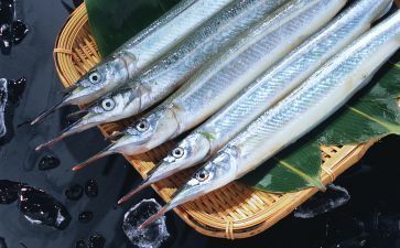 黑金魟魚(yú)繁殖成功率提升方法，黑金魟魚(yú)的繁殖成功率提升方法