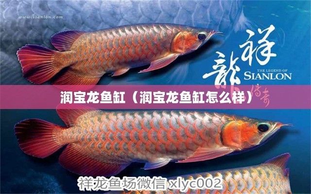 潤(rùn)寶龍魚缸安裝，安裝潤(rùn)寶龍魚缸需要仔細(xì)按照步驟進(jìn)行