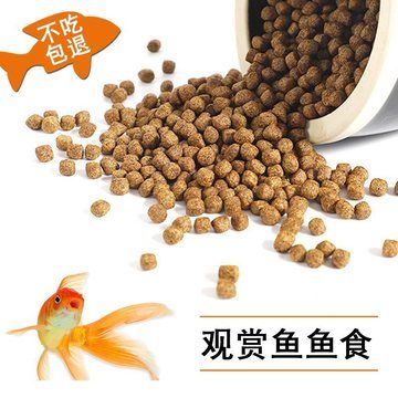 龍魚(yú)吃錦鯉飼料，錦鯉飼料與龍魚(yú)飼料的區(qū)別 龍魚(yú)百科 第2張