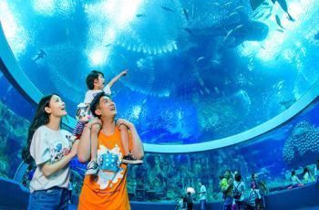 祥龍水族館夜宿活動安排，祥龍水族館夜宿活動安全措施祥龍水族館夜宿活動安全措施 觀賞魚市場（混養(yǎng)魚） 第3張