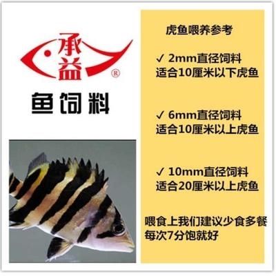 虎魚飼料訓(xùn)餌時間周期，關(guān)于虎魚飼料訓(xùn)餌時間周期的一些詳細(xì)信息 虎魚百科 第4張