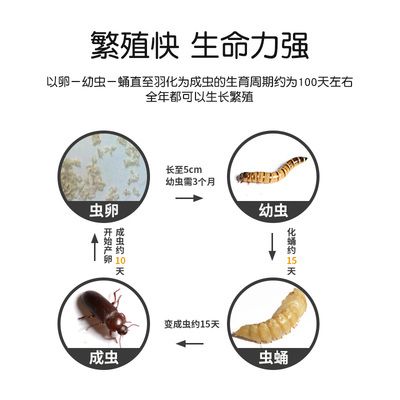 如何判斷龍魚(yú)飼料新鮮度，如何判斷龍魚(yú)飼料的新鮮度 觀賞魚(yú)市場(chǎng)（混養(yǎng)魚(yú)） 第5張