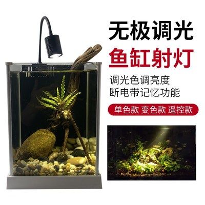 雷龍魚缸燈怎么選，選擇合適的雷龍魚缸燈對于維持雷龍魚的健康和美觀至關重要