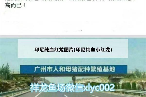 如何判斷雙線側(cè)魚是否成熟，雙線側(cè)魚成熟與否可以通過以下幾種方法判斷雙線側(cè)魚是否成熟