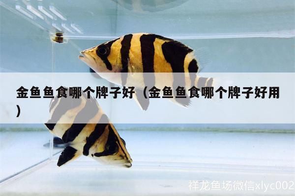 金老虎魚人工飼料品牌推薦，金老虎魚人工飼料及牌推薦