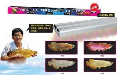 龍魚缸用燈架好不好，龍魚缸燈架安裝教程詳解 魚缸百科 第4張