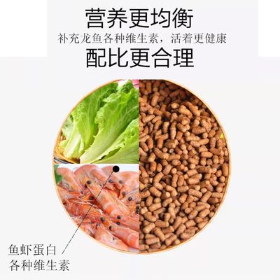 金龍魚飼料蛋白質(zhì)來源比較，金龍魚飼料中蛋白質(zhì)來源主要包括動物性和植物性蛋白源 觀賞魚市場（混養(yǎng)魚） 第4張