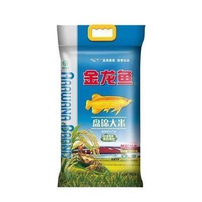 龍魚可以用鹽嗎，龍魚水中加入鹽分對龍魚的健康有多方面的影響，龍魚鹽療效果評估 龍魚百科 第4張