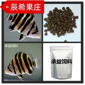 四紋虎魚飼料選擇指南，關(guān)于四紋虎魚飼料選擇的詳細指南 虎魚百科 第5張