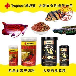 四紋虎魚繁殖飼料選擇指南，印尼四紋虎魚繁殖飼料選擇指南四紋虎魚繁殖飼料選擇指南 虎魚百科 第3張