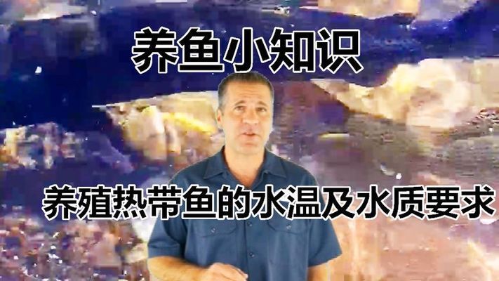 熱帶魚水溫管理技巧，熱帶魚水溫管理技巧，熱帶魚適宜水溫與生長(zhǎng)關(guān)系