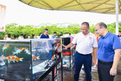 統(tǒng)一水族飼料的銷售渠道，統(tǒng)一水族飼料優(yōu)化銷售渠道 觀賞魚市場(chǎng)（混養(yǎng)魚） 第5張