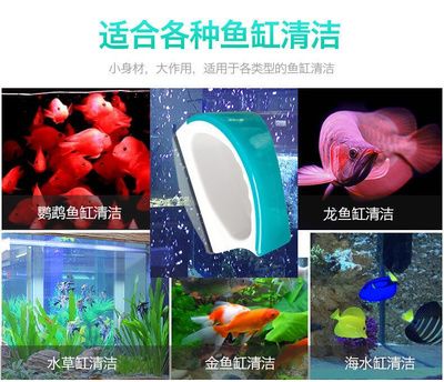 龍魚缸怎么清洗魚屎，清洗龍魚缸魚屎的方法