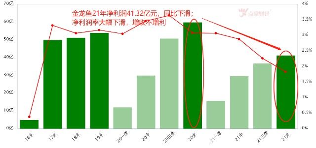 金龍魚凈利潤率多少正常，金龍魚凈利潤率分析 龍魚百科 第4張