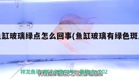 愛唯希魚缸常見問題處理，愛唯希魚缸出現(xiàn)漏水問題，魚缸水質(zhì)維護(hù)周期表如何選擇 觀賞魚市場（混養(yǎng)魚） 第5張