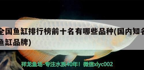 龍魚魚缸排行榜前十名品種，龍魚魚缸品牌性價比排行榜前十名魚缸品牌性價比排行 魚缸百科 第5張