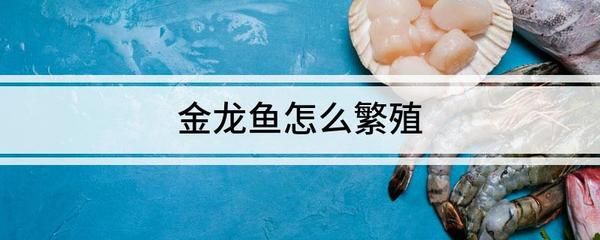 金龍魚喂什么食物促進(jìn)性成熟快，金龍魚的性成熟期的喂食方法和喂食方法和喂食方法