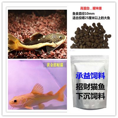 承益水產(chǎn)飼料用戶評(píng)價(jià)詳情，一眉道人魚飼料價(jià)格對(duì)比泰國虎魚飼料用戶反饋匯總 虎魚百科 第2張