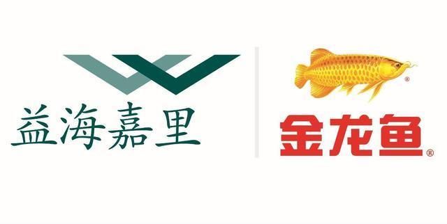 金龍魚國外企業(yè)怎么上市，金龍魚在國外上市之路 龍魚百科 第2張