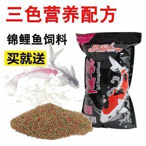 蘇虎魚飼料選擇指南，蘇虎魚飼料搭配建議，蘇虎魚人工飼料適應(yīng)訓(xùn)練 虎魚百科 第1張