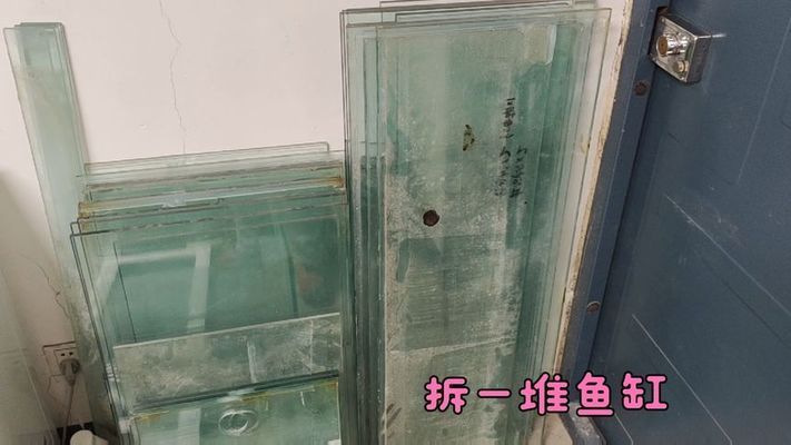 歐寶龍魚缸一般壽命幾年更換一次，歐寶龍魚缸使用壽命通常為8-10年左右 魚缸百科 第5張