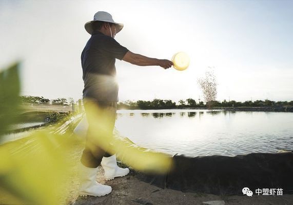 海象魚繁殖期飼料中磷的作用，海象魚繁殖期飼料中的磷含量對魚類生長性能的影響 觀賞魚市場（混養(yǎng)魚） 第2張