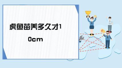 虎魚苗營養(yǎng)均衡食譜設計，虎魚苗的營養(yǎng)均衡食譜設計 虎魚百科 第1張